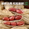 有机花生打豆浆花生小粒原味红皮花生米新货不带壳350g真空袋装 商品缩略图2