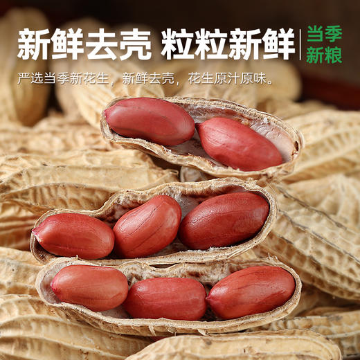 有机花生打豆浆花生小粒原味红皮花生米新货不带壳350g真空袋装 商品图2