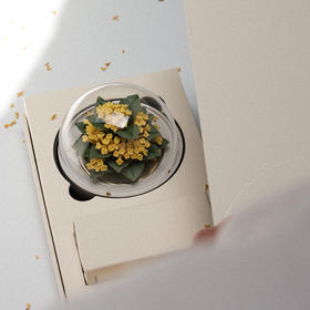 广诚行-非遗德化手捏瓷花桂花香氛礼盒