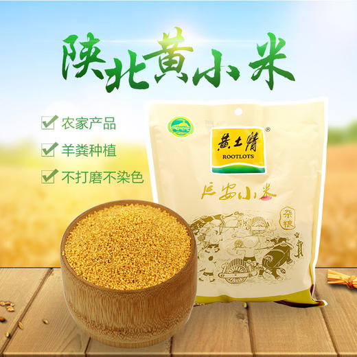 黄土情袋装黄小米500g*4 商品图2