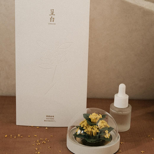 广诚行-非遗德化手捏瓷花桂花香氛礼盒 商品图1