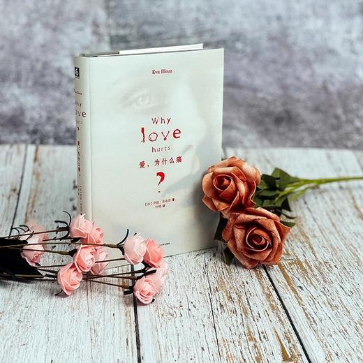 爱为什么痛   商品图2