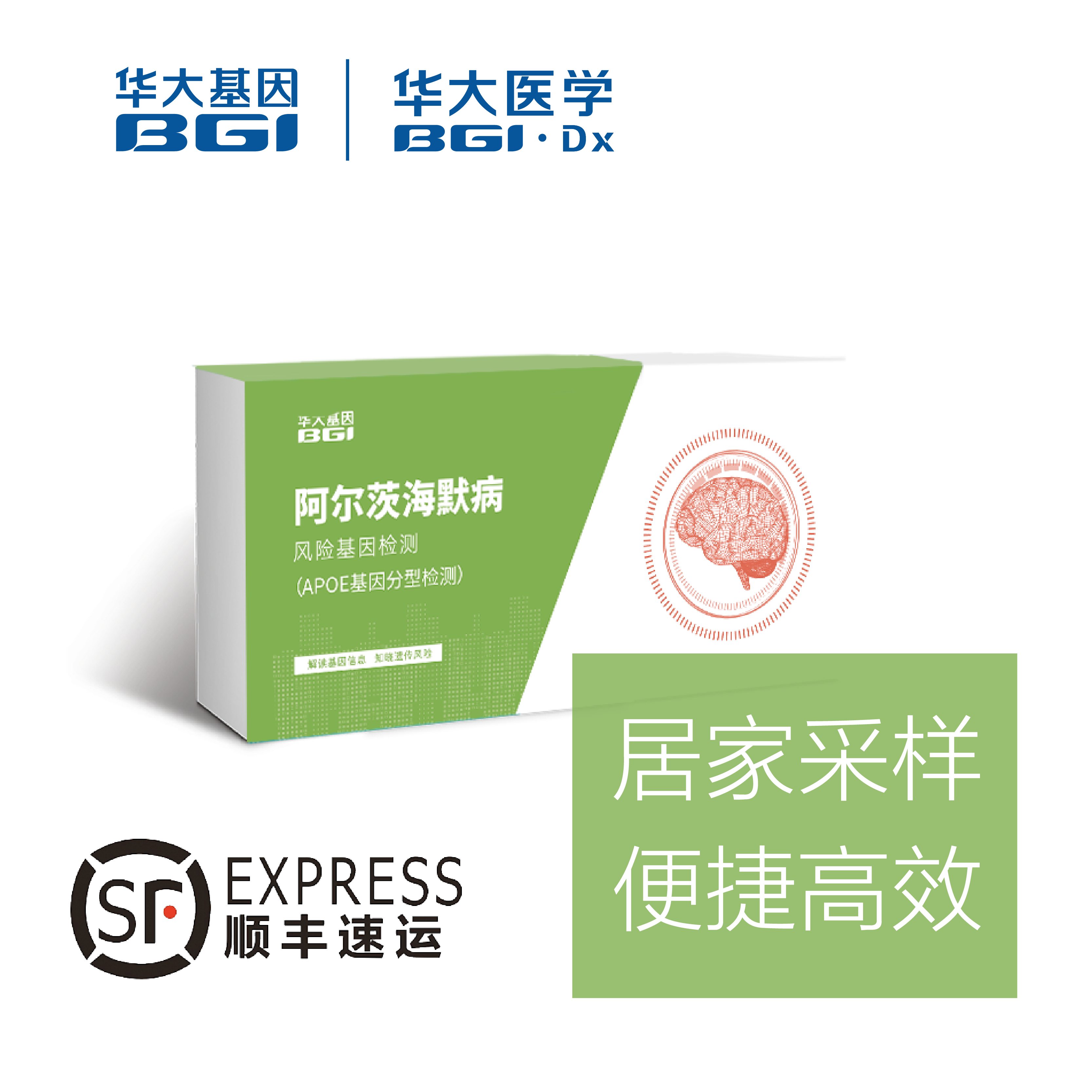 华大基因  阿尔茨海默病风险 APOE基因分型检测