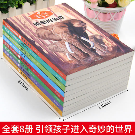 沈石溪动物小说系列（全8册） 商品图2