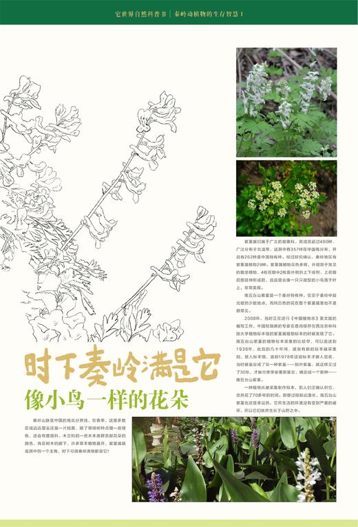 它世界自然科普书（秦岭动植物的生存智慧） 商品图4