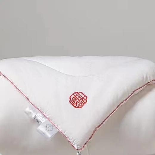 6F堂皇23年秋冬新品如意大豆抗菌春秋被 商品图2