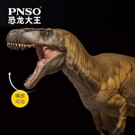 PNSO巨齿龙爱德华恐龙大王成长陪伴模型74 商品图3