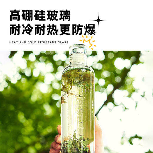 艺福堂玻璃杯冷泡杯大容量网红玻璃杯家用透明500ml 商品图4