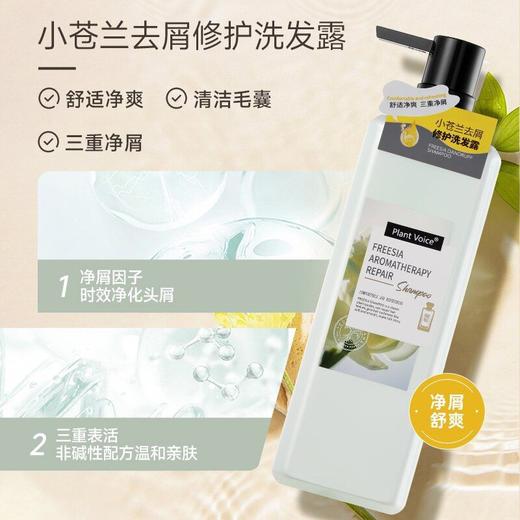 植物语录500ml洗发水.精华乳3瓶组合（包装轻微磨损） 商品图2