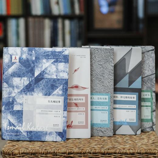蓝色东欧系列丨诺贝尔文学奖得主、热门候选人作品，10本必读名著，花城出版社出品 商品图1