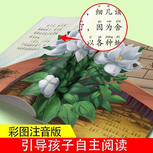 法布尔昆虫记全套12册美绘注音版 儿童绘本6一8岁带拼音一年级二三年级阅读课外书必读老师小学生课外读物科普给孩子的昆虫记推荐 商品图3