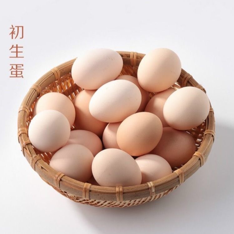 初生蛋480枚重34-36斤（1件16板配16个蛋托）产地湖北