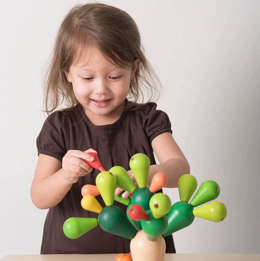 plan toys4101平衡仙人掌 商品图2