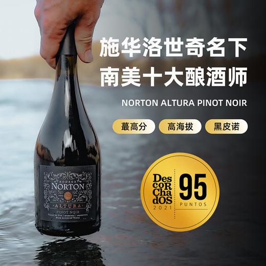 DS评分史上酔高年份！南美十大酿酒师出品！诺顿酒庄奥图拉黑皮诺干红 Norton Altura Pinot Noir 2020【施华洛世奇旗下】 商品图1