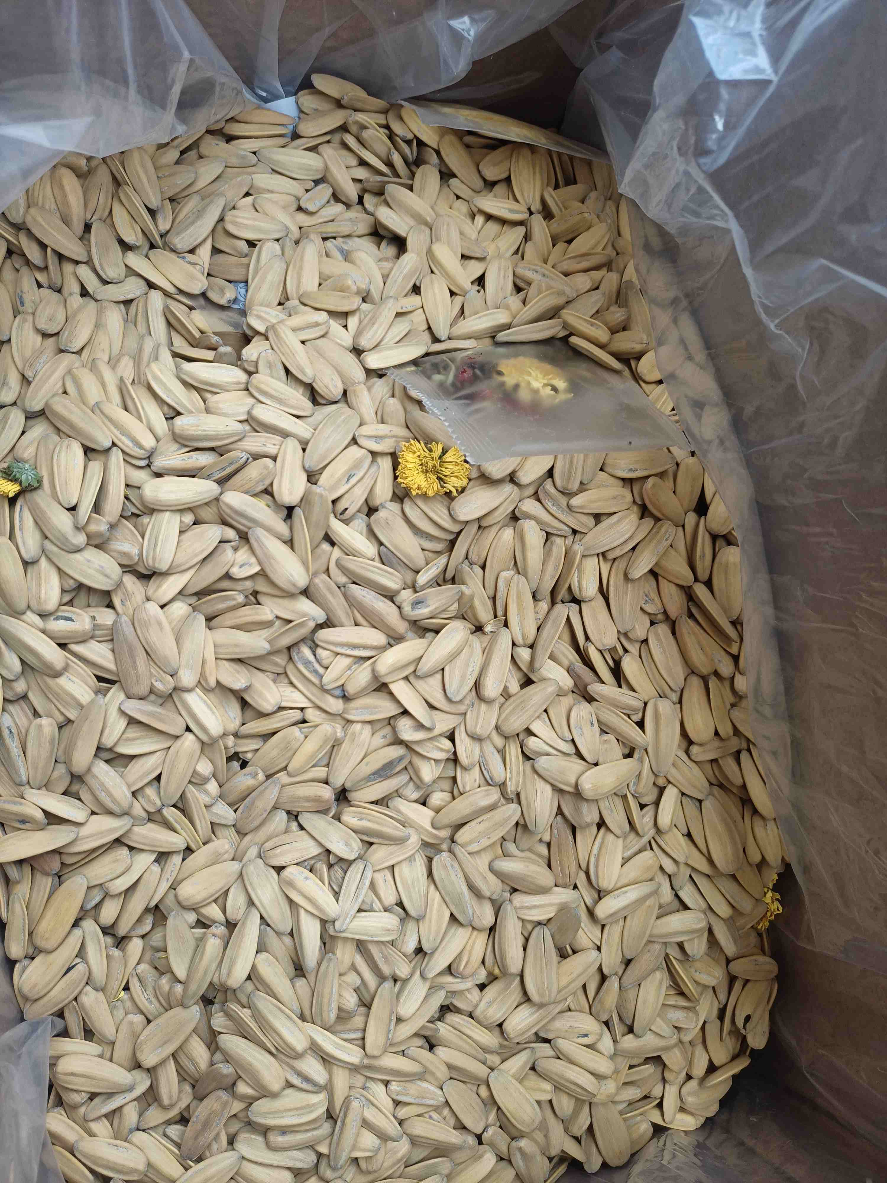 菊花瓜子