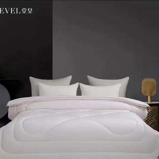 6F堂皇23年秋冬新品如意大豆抗菌春秋被 商品图0