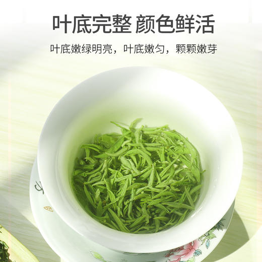 2026新茶 碧螺春茶叶明前早春绿茶精品特级嫩芽100g*2罐 商品图5
