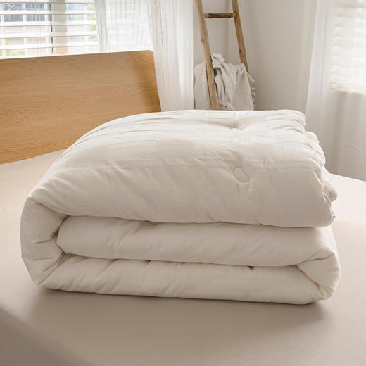 【原棉民宿被子】提花大格大豆被芯白色柔软被子全棉原棉民宿被子学生 商品图5