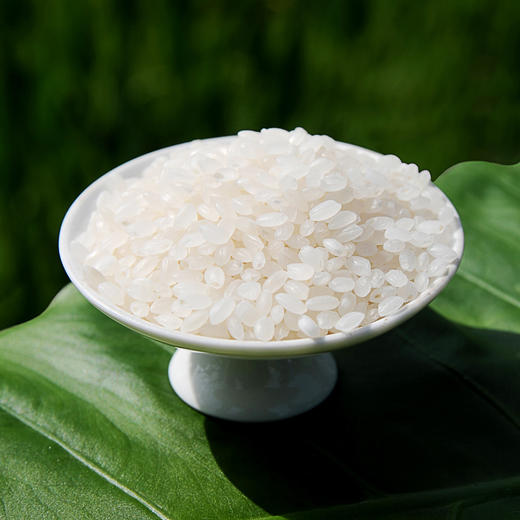 【吉乡禾】东北优选大米圆粒米珍珠米2.5kg/5kg 商品图4