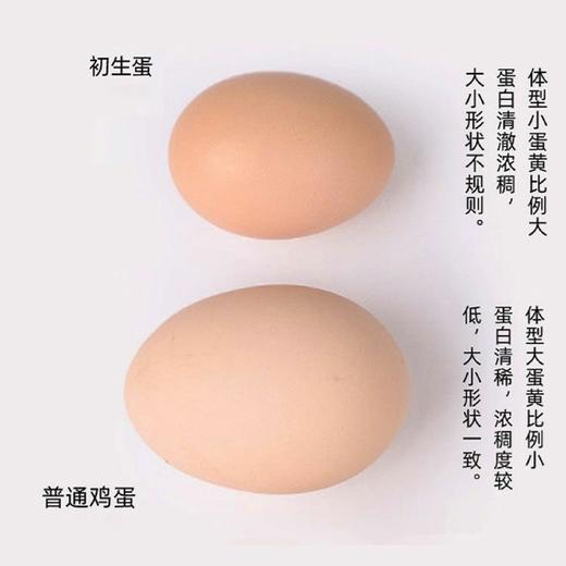 初生蛋480枚重34-36斤（1件16板配16个蛋托）产地湖北 商品图1