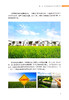 图解 推进农业农村现代化   建设农业强国【官方正版，可开发票】 商品缩略图3