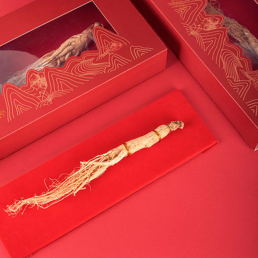 张太和全须生晒参 整枝年份足礼品健康煲汤煮粥泡酒5年全须生晒参 商品图4