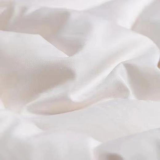 6F堂皇23年秋冬新品如意大豆抗菌春秋被 商品图3