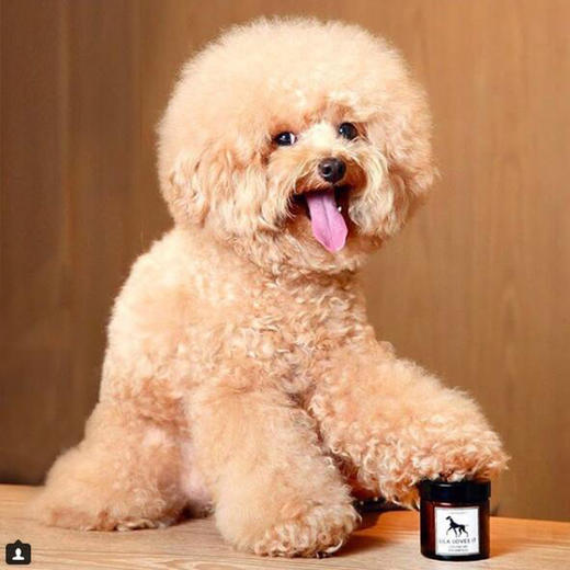 德国 里拉爱它 LILA LOVES IT护爪油 商品图4