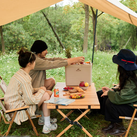 Naturehike挪客（凌度24H） 户外保温箱露营野餐食品保鲜箱车载冰桶 商品图3