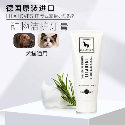德国 里拉爱它 LILA LOVES IT 猫犬通用矿物洁护动物牙膏75ml/微纤套指牙刷 商品图1