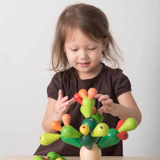 plan toys4101平衡仙人掌 商品图3