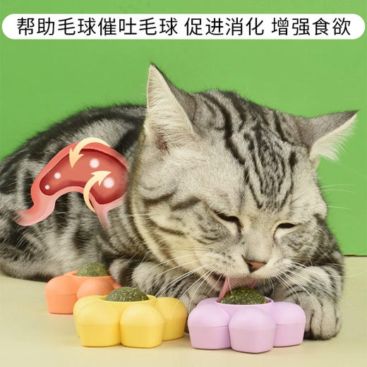花朵旋转猫薄荷球 舔舔乐猫零食玩具 吐毛球 清新口气 商品图4