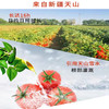 红满多番茄酱【运送过程有轻微压扁可能  介意勿拍】 商品缩略图2