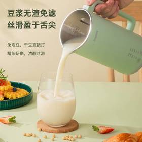 创维（SKYWORTH）P304I豆浆机350ml