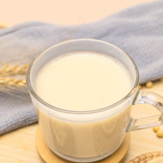 🈚️添加，🈚️糖，🈚️增稠剂 非转基因纯豆浆粉 商品图3