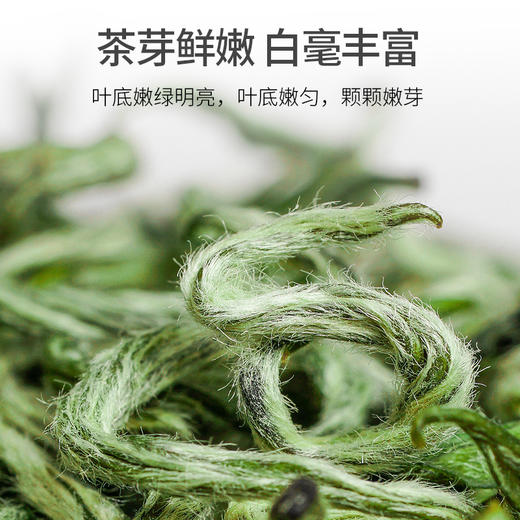2026新茶 碧螺春茶叶明前早春绿茶精品特级嫩芽100g*2罐 商品图2