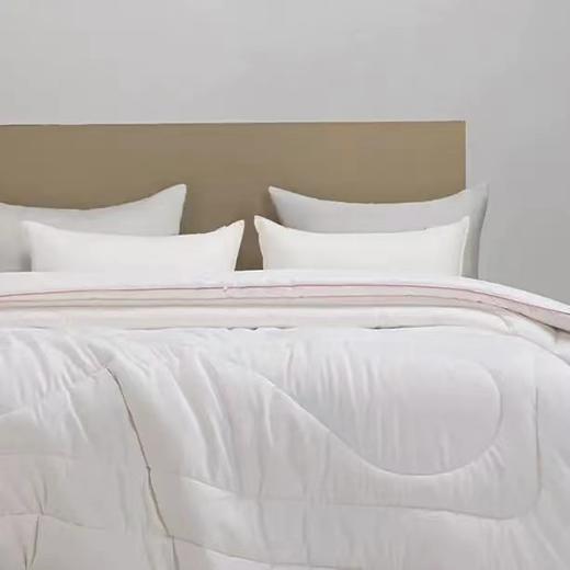 6F堂皇23年秋冬新品如意大豆抗菌春秋被 商品图1