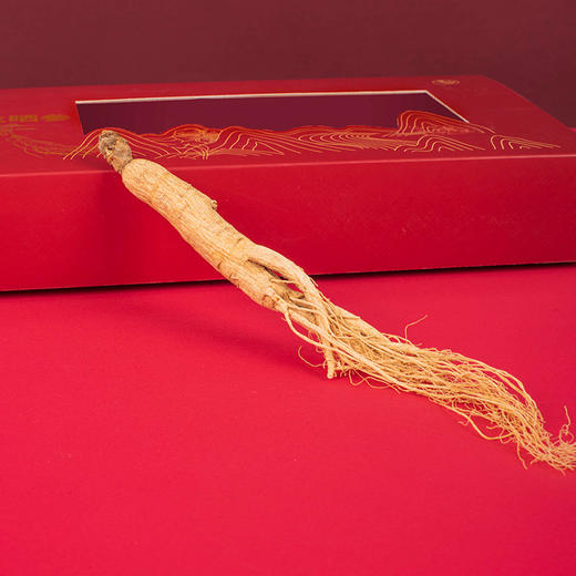 张太和全须生晒参 整枝年份足礼品健康煲汤煮粥泡酒5年全须生晒参 商品图3