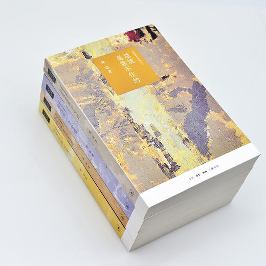 如彗星划过夜空 林达 著 历史 商品图1