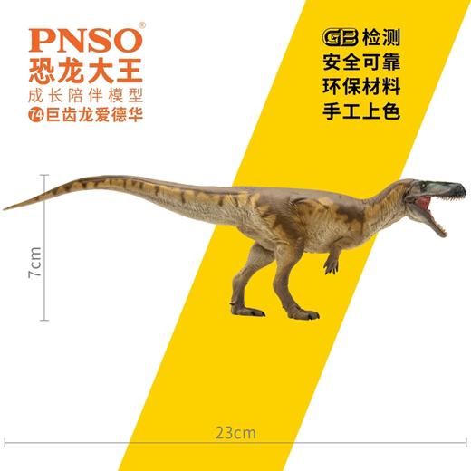 PNSO巨齿龙爱德华恐龙大王成长陪伴模型74 商品图2