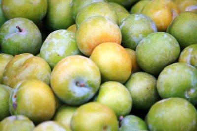 李子  1盒约1斤 商品图0