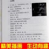 国学经典书籍全套中国哲学庄子全集正版逍遥游孟子译注典藏版道德经原著老子鬼谷子全书小学生成人版孟子诸子百家大学中庸儿童版 商品缩略图2