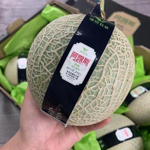 阿露斯软肉阳光蜜瓜 约2.3斤/只  |水果 商品图2