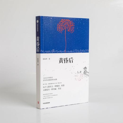 黄昏后 杨知寒 著 文学 商品图3