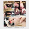 德国 里拉爱它 LILA LOVES IT 猫犬通用矿物洁护动物牙膏75ml/微纤套指牙刷 商品缩略图5