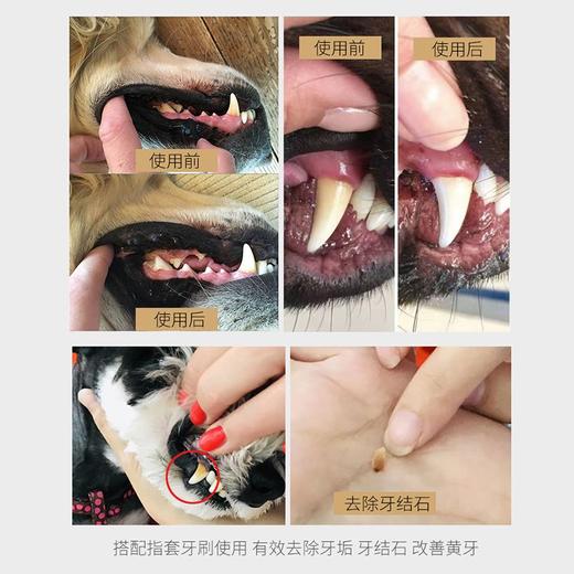 德国 里拉爱它 LILA LOVES IT 猫犬通用矿物洁护动物牙膏75ml/微纤套指牙刷 商品图5