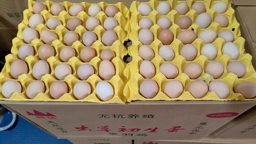 初生蛋480枚重34-36斤（1件16板配16个蛋托）产地湖北 商品图4