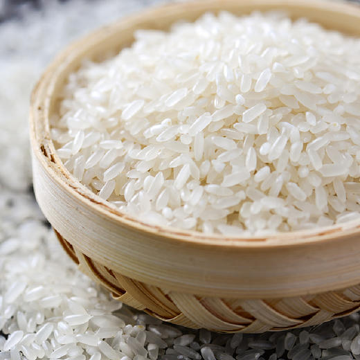 【米小胖】鲜米2.5kg/5kg 东北稻香米当季新米 商品图3