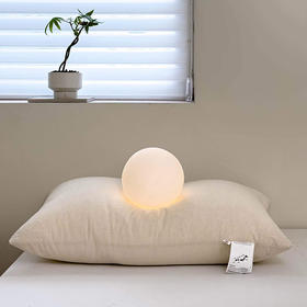 老米优品/爱日系风的，来入好品质的日系系亚麻枕！muji工厂，简约日系纯色棉麻枕头