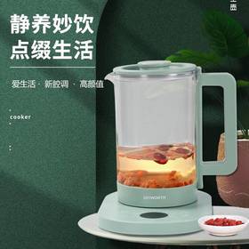 创维（SKYWORTH）S141多功能养生壶